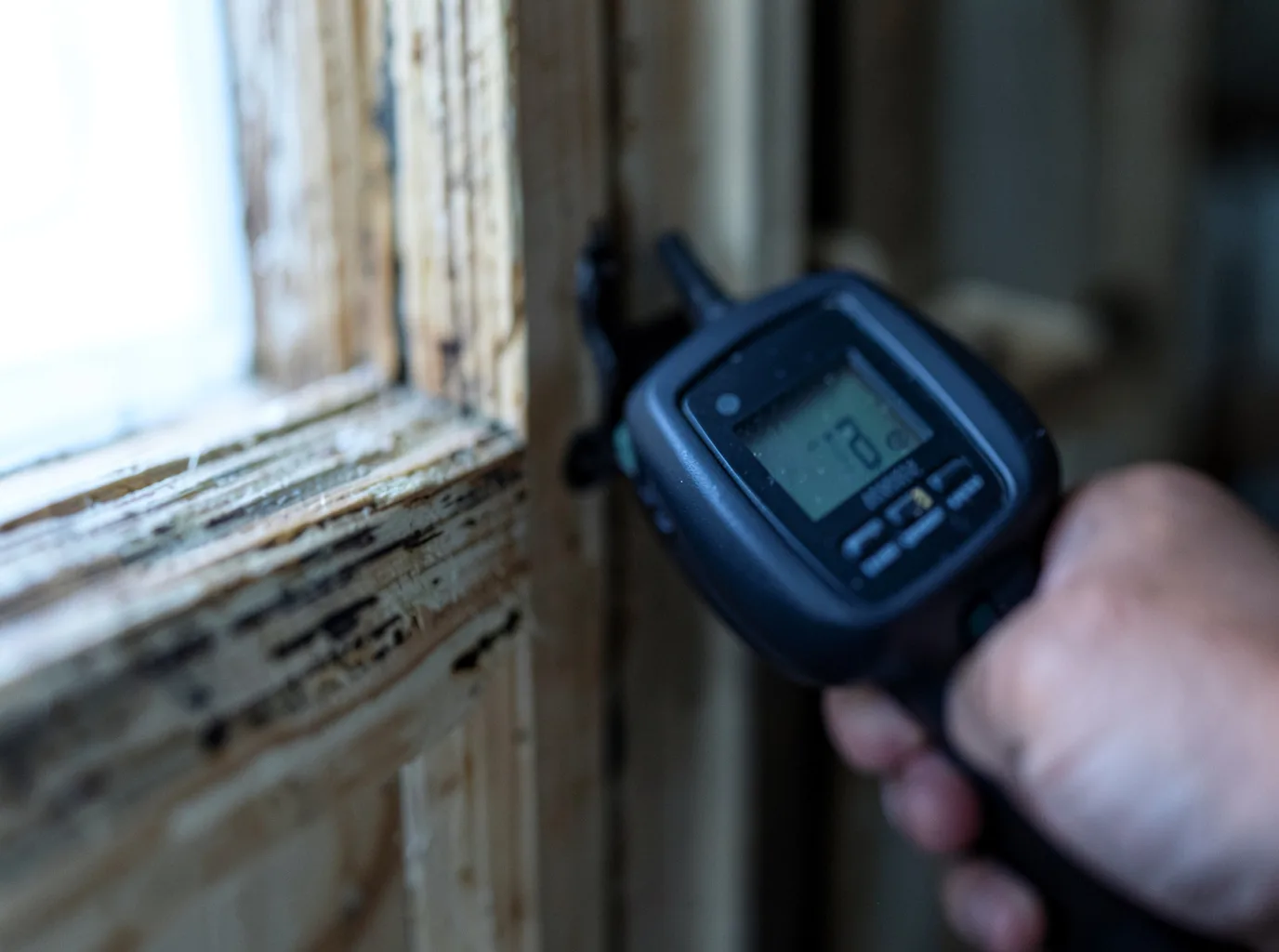 Moisture Inspection And Documentation in Plainfield, PA